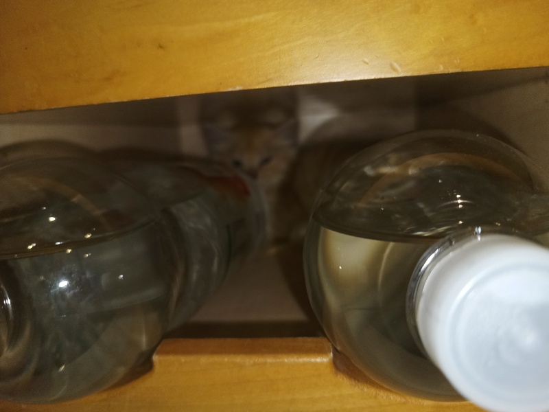 Hiding places