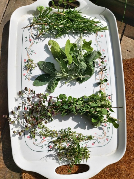 Any Witches Here?- Part 19