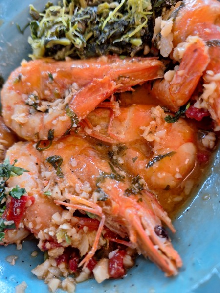 Week 3 - Back-to-School Bootcamp - Introducing Bootcamp Light