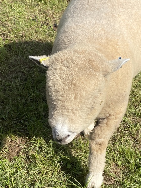 Come and tell me your dull and unexciting news 26: Calmly through the day 