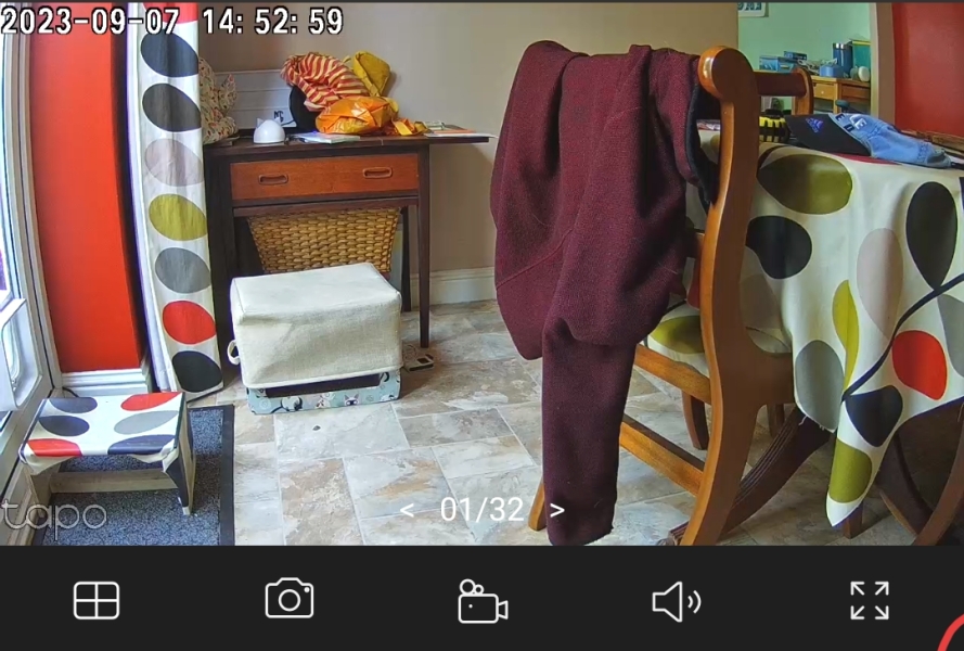 Pet Cams, not Alexa/Ring and no treats