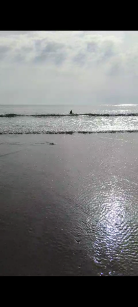 Early Summer weather watch