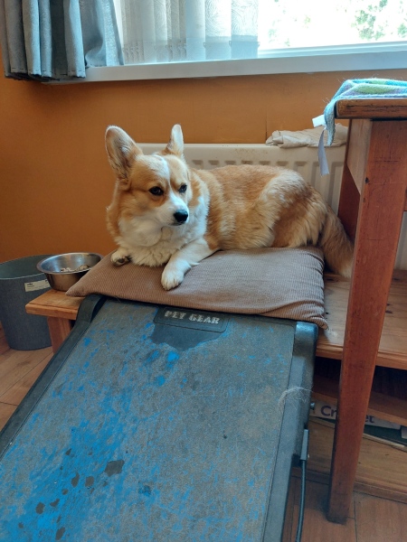 Our girl has cancer