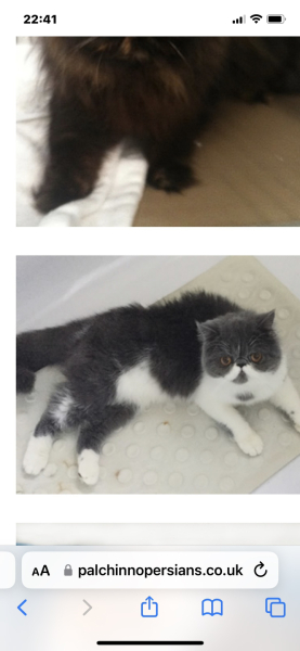 Potential new inmate at Toddler Towers.