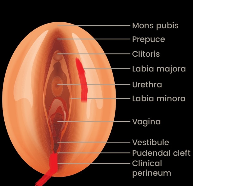 Not informed about birth injury- is there a "full" version of medical notes to request?