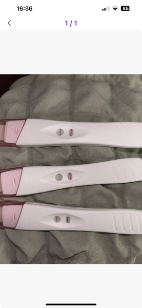 Ovulation and testing.