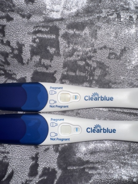 Clear blue test. Evap line or positive