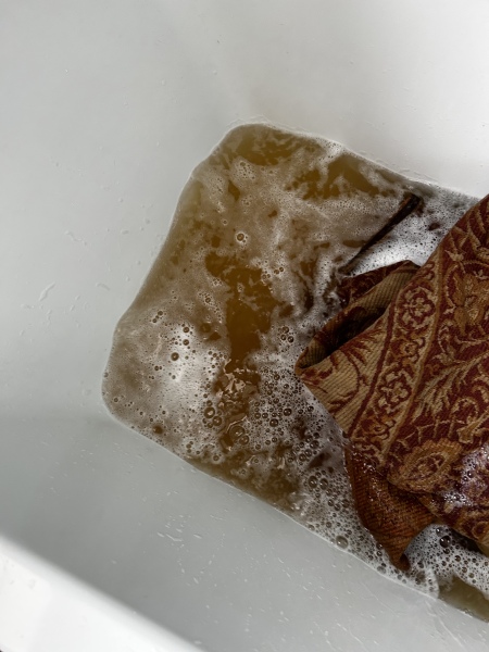 To think whatever I do, getting a dog will make my house stink?