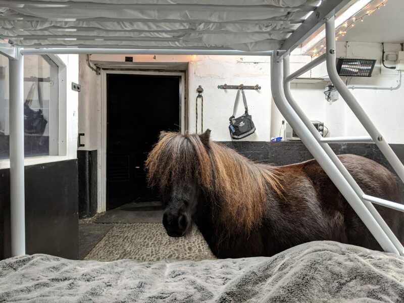 Help me compile a list of 50 things to do before I turn 50!