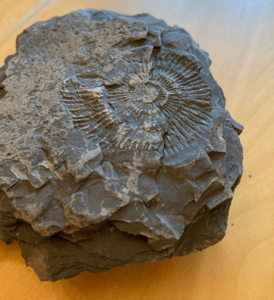 Thread 9 - TalkLair: “Russell's teapot goes on being round”