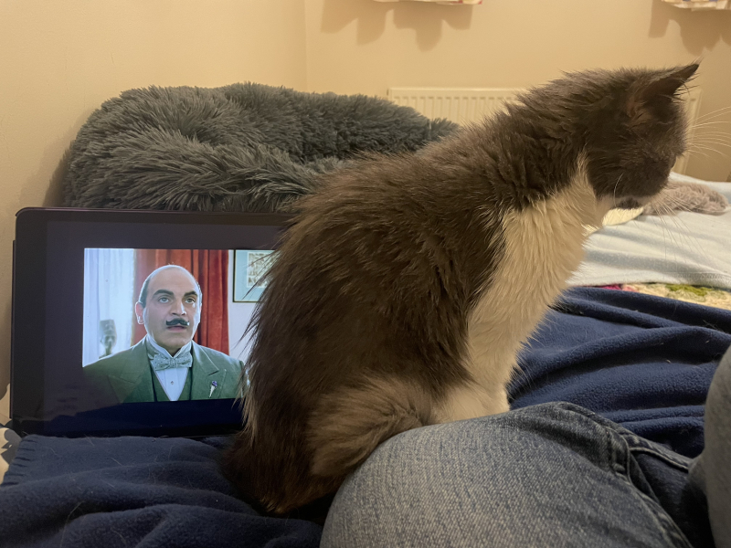 Potential new inmate at Toddler Towers.