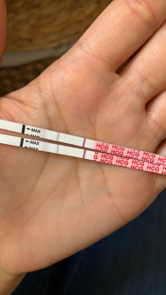 Clear blue test. Evap line or positive
