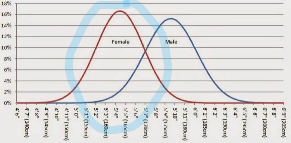 Trans: the new ideology of the ruling class (article)