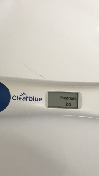 my pregnancy test