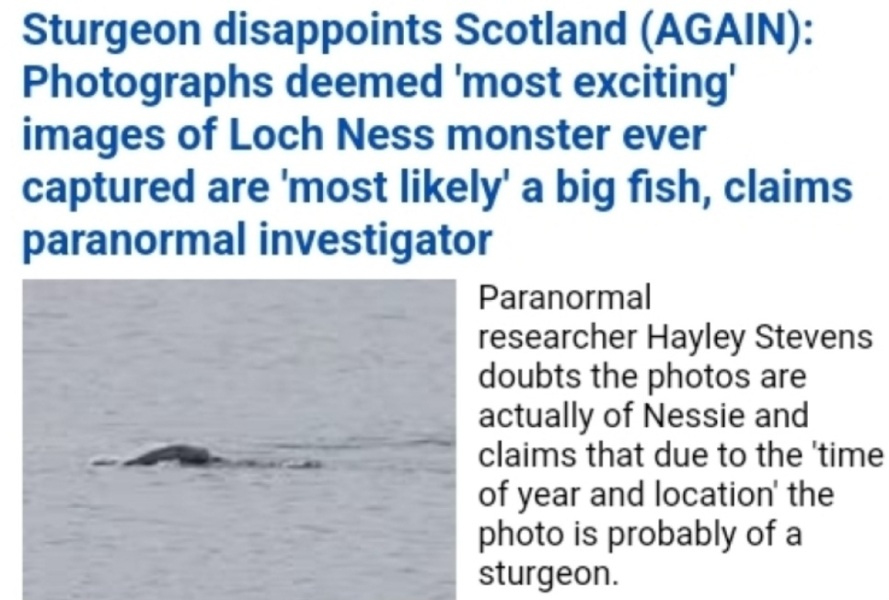 A Mumsnet thread about a book about a Mumsnet thread “Under the Duvet of Darkness” written by the women of Mumsnet THREAD 2