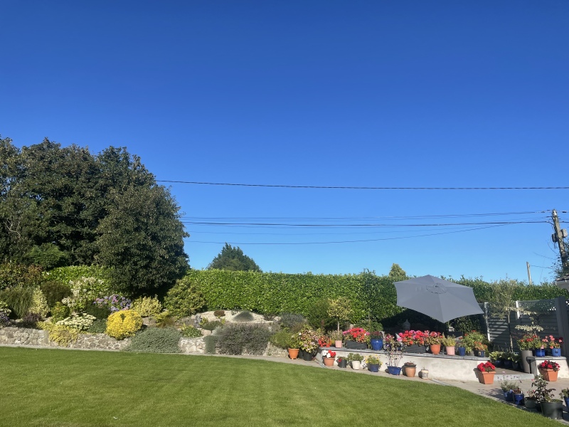 To wonder why anyone would choose to buy a house with a north facing garden?