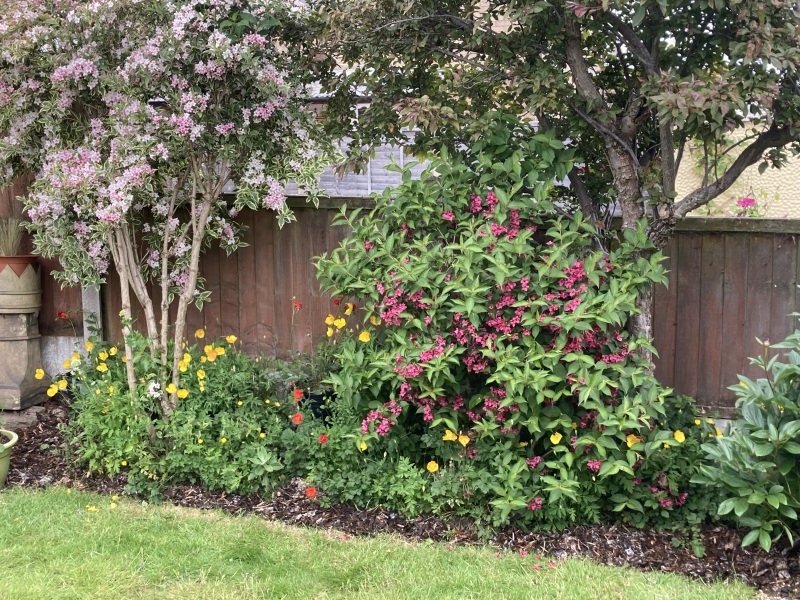 Is it ok to do this in a new build garden?