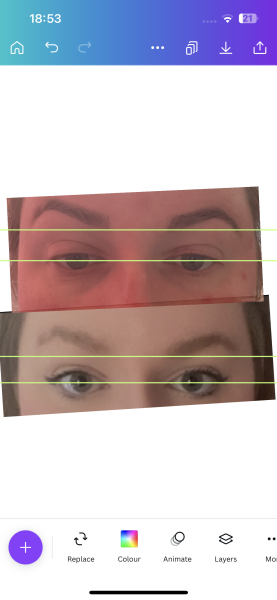 To complain about my wonky eyebrows?
