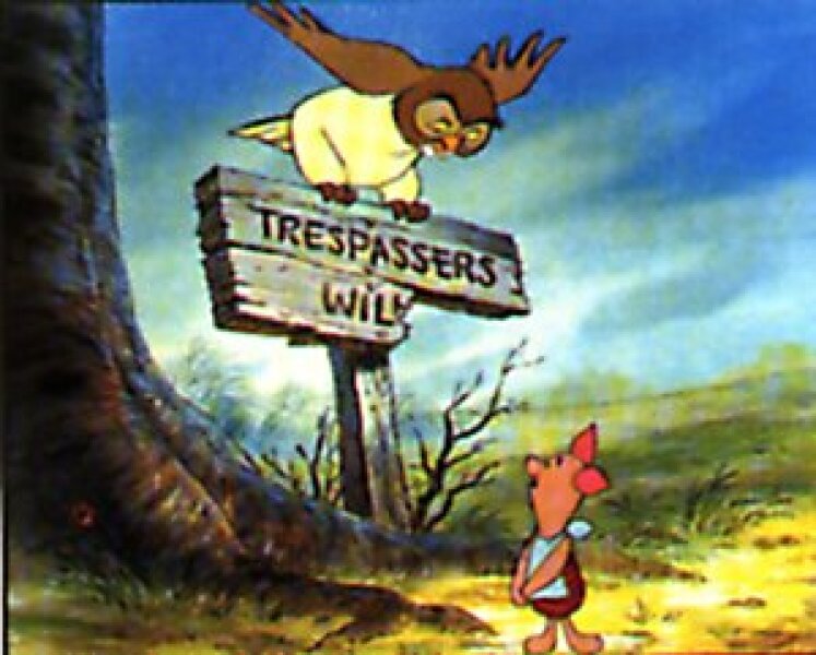 Neighbours Indiana Jones-ing their way into our garden