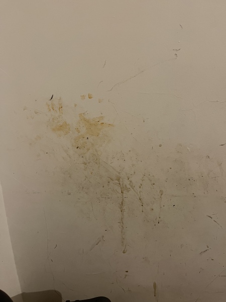 Help - how do I get this off the wall?