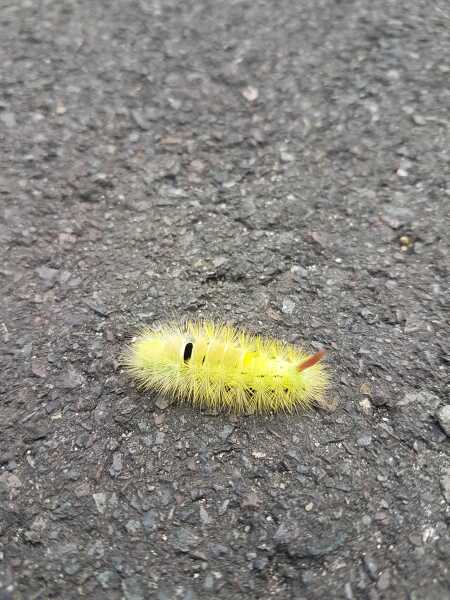 I saw something out of the ordinary today…