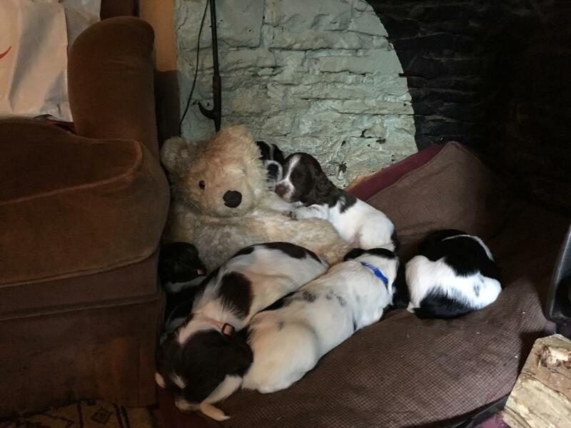 Thread 10 - TalkLair: “The candle flame gutters. Its little pool of light trembles.”