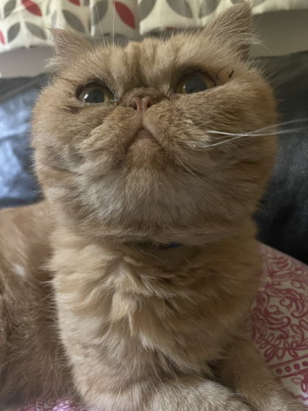 Potential new inmate at Toddler Towers.