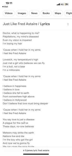 Neighbours Indiana Jones-ing their way into our garden