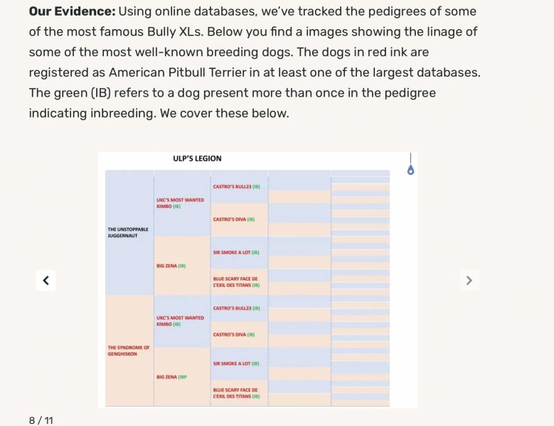 Bull breeds 'Nanny Dog' myth