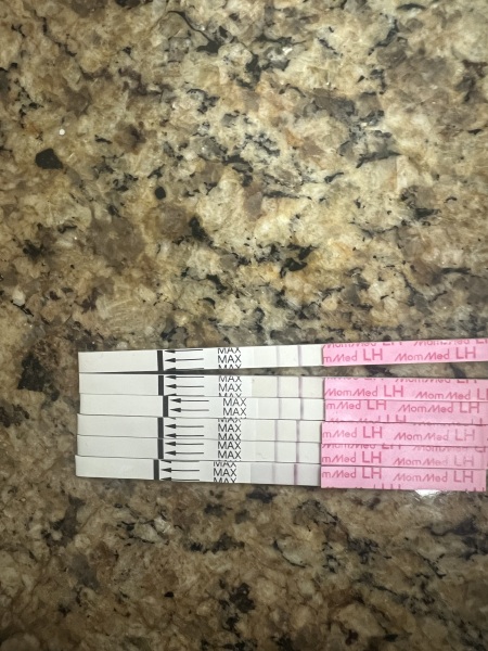 Ovulation strips positive or negative?