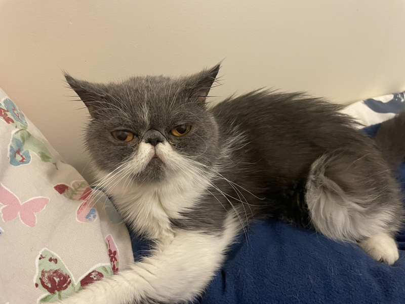 Potential new inmate at Toddler Towers.