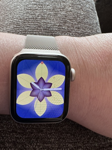 Has anyone got an Apple Watch SE?