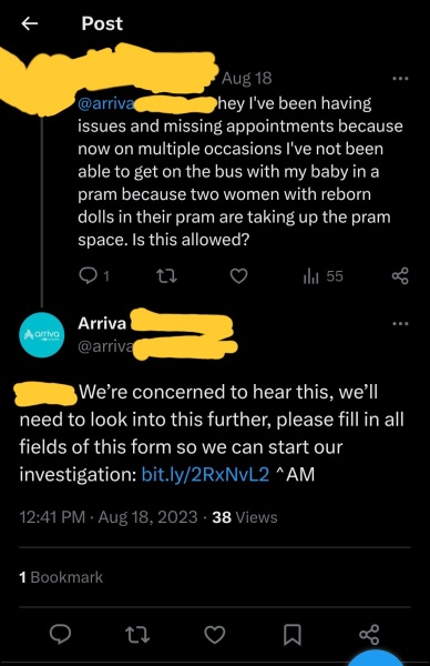 Reborn dolls in the pram bay