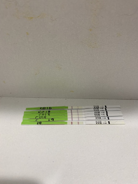 Tracking ovulation