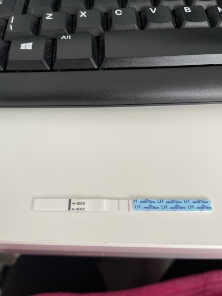ovulation tests