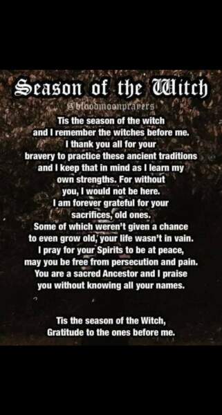 Any Witches Here?- Part 19