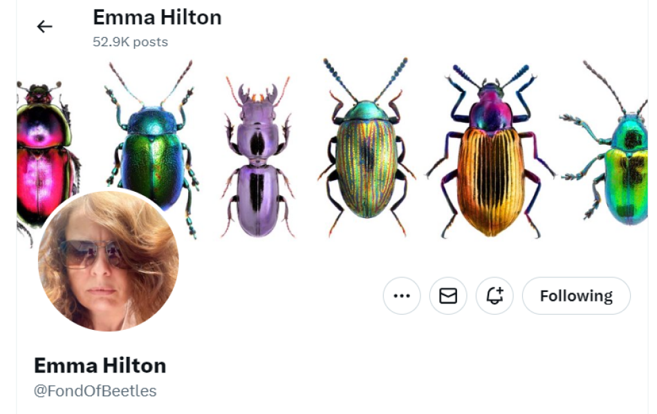 A Mumsnet thread about a book about a Mumsnet thread “Under the Duvet of Darkness” written by the women of Mumsnet THREAD 2