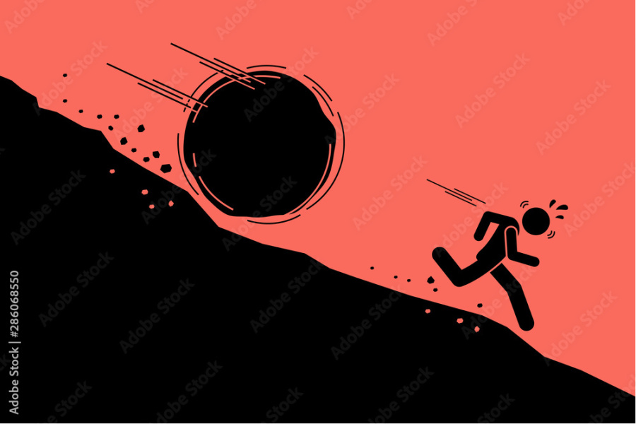 Neighbours Indiana Jones-ing their way into our garden