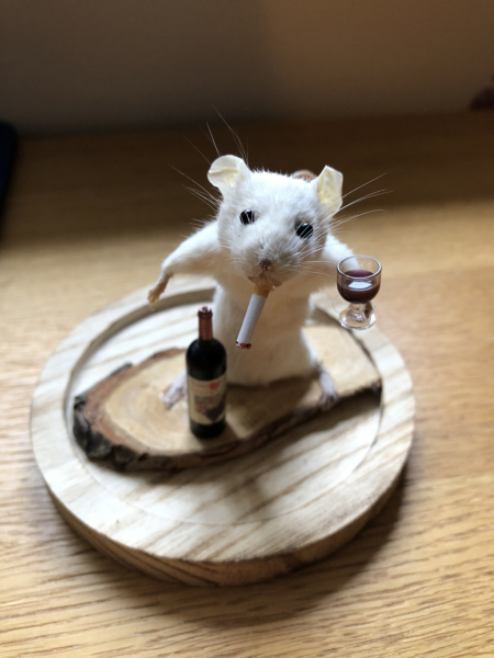 Most random but ultimately brilliant present you've ever been given...