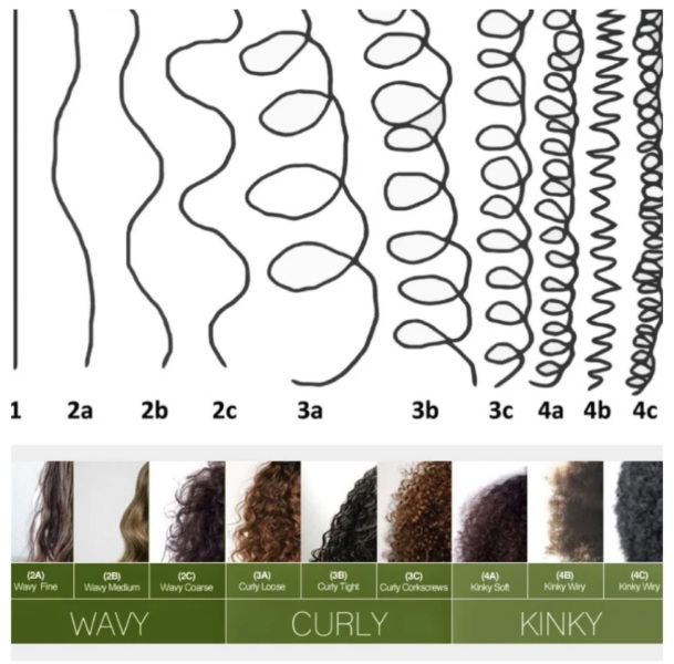 Curly/wavy hair and hair loss/hair falling out