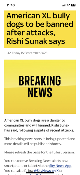 Government to *finally* look at banning XL bullies