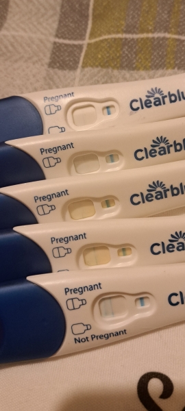 Clear blue test. Evap line or positive