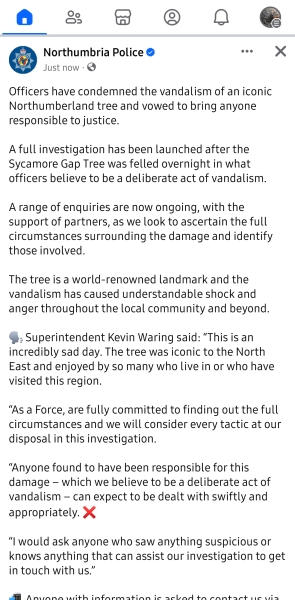 Sycamore Gap - tree has been felled!