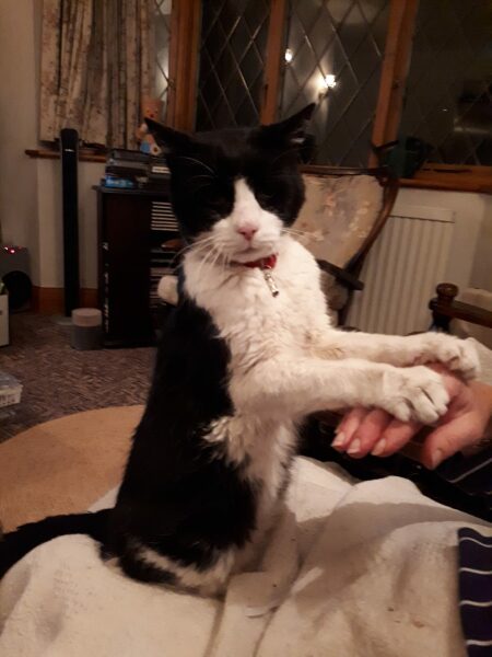 Thread 9 - TalkLair: “Russell's teapot goes on being round”