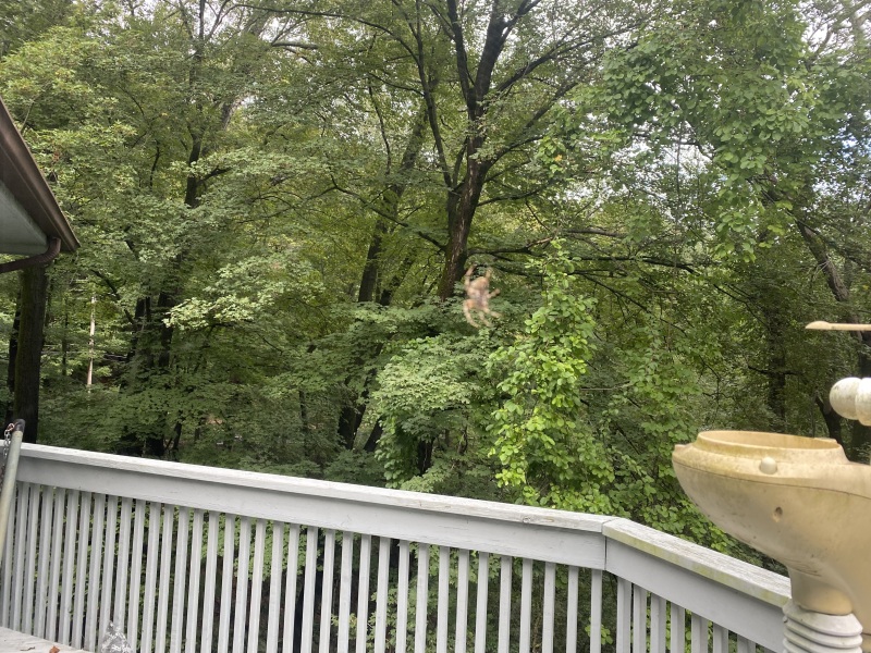 Come and tell me your dull and unexciting news 26: Calmly through the day 