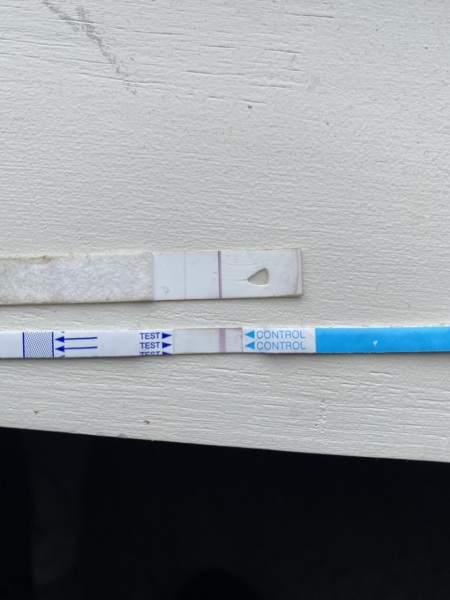 What would you think if you saw these PT results?