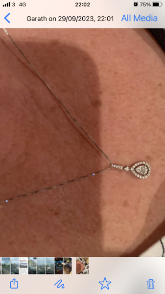 Suggestions for a nice everyday necklace....