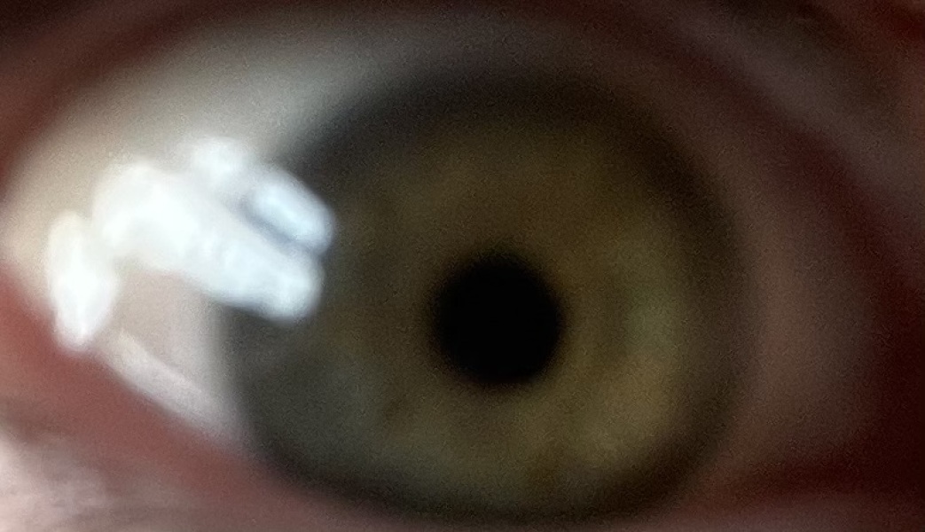 For all those 'what colour are my eyes' posts