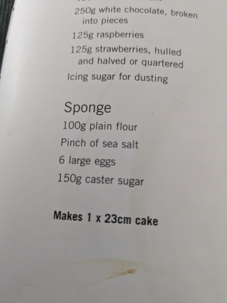 Sponge cake double layer turned into solid hard slab of almost egg? f