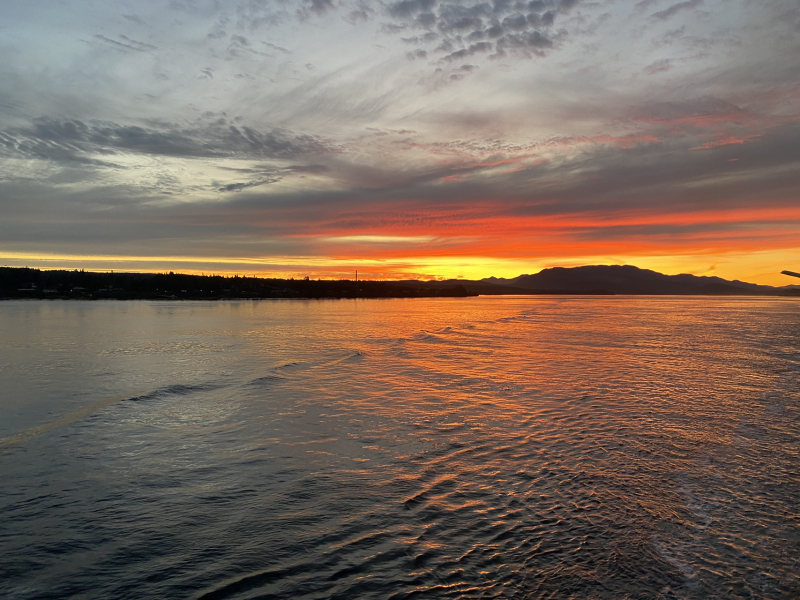 Come and tell me your dull and unexciting news 26: Calmly through the day 